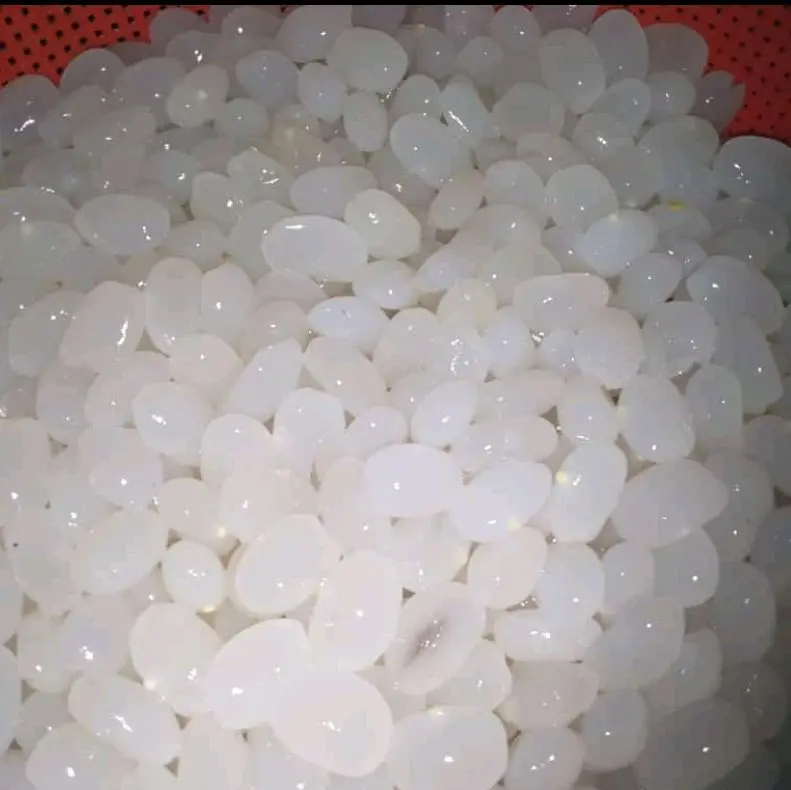 Kolang kaling asli original berat 1 kg