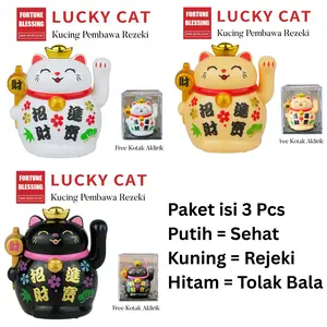 Pajangan Kucing (Bisa untuk MOBIL) Lambai Tenaga Surya 4x5x6 Cm (Kotak Acrylic) + FREE TEMPELAN