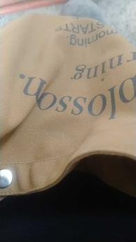 Product Review of Tas Selempang Canvas Wanita Casual Trendy Slingbag Cewek Korea Lucu Blosom from z**3 0
