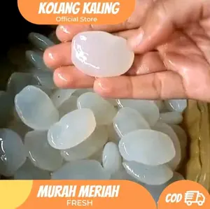 Kolang Kaling Segar Kualitas Super 1kg