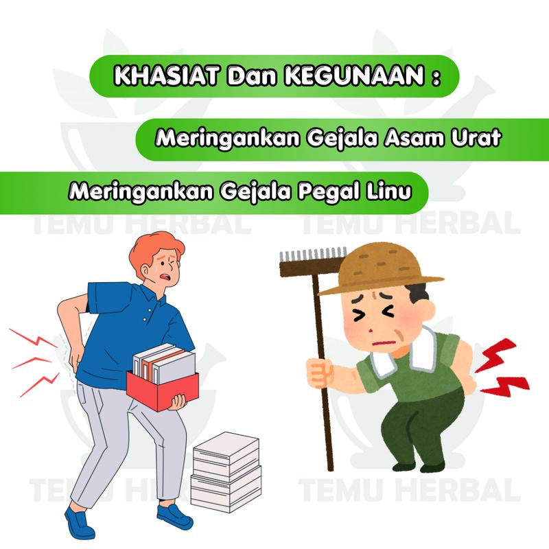 Kapsul Montalin - Isi 10 Sachet - Pegal Linu Asam urat 2