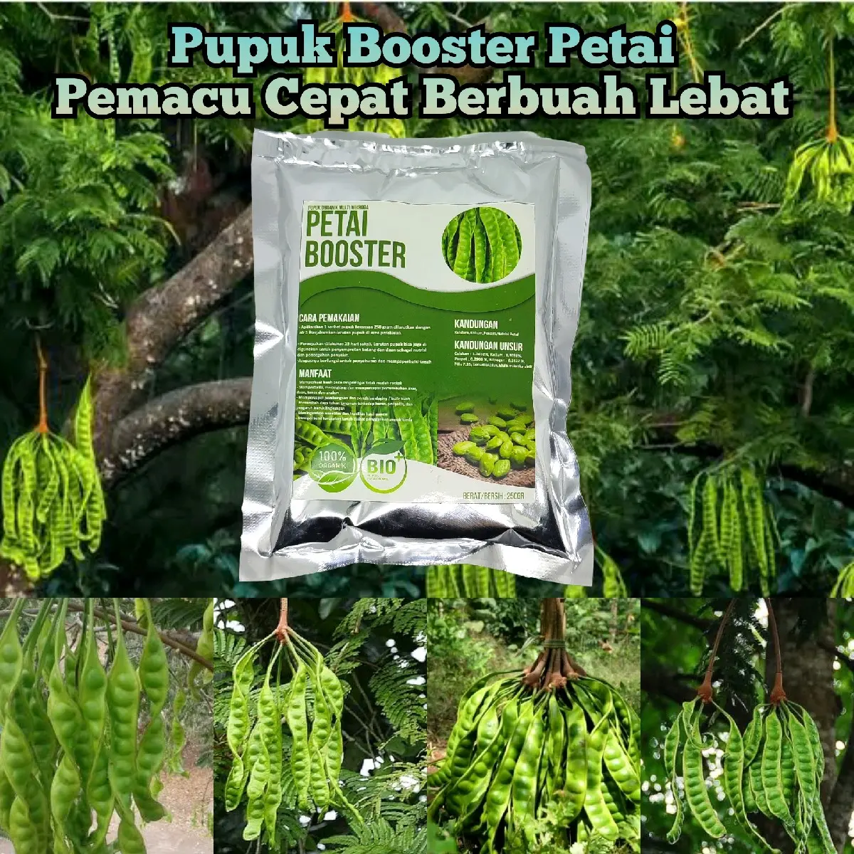 Pupuk Pelebat Pete Pupuk Booster Pete Pemacu Cepat Berbuah Lebat