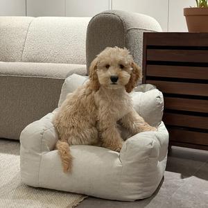Cama sofá para mascotas con bolsillos laterales, diseño de dibujos animados lindo, desmontable y lavable, tapete reutilizable para gatos y perros, accesorio ideal para muebles de mascotas