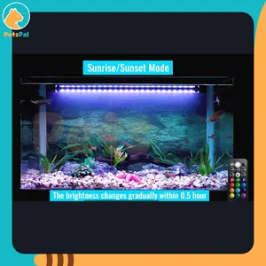 Lampu LED Warna Akuarium Simulasi Sunrise Sunset Tahan Air Pengatur Waktu Remote Control Fish Tank Color LED Lights