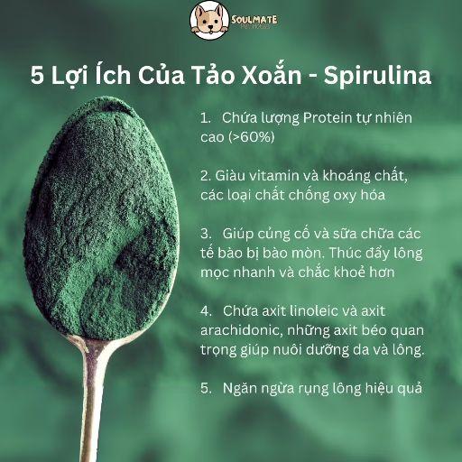 Product Introduction of (SALE+ QUÀ) Sữa tắm yến mạch+xịt dưỡng cao cấp KAI cho chó mèo 250ml- Thái Lan 29