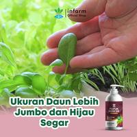 Gambar Infarm POC Sayuran Daun 1L, Pupuk Organik Cair Siap Pakai, Nutrisi 100% Organik untuk 500 Liter, Meningkatkan Kesuburan & Produktivitas Tanaman dari Infarm Kota Surabaya 3 Tokopedia
