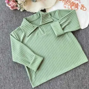 Atasan Baju Polo Blus Wanita Cerine Top Crop Lengan Panjang Polos