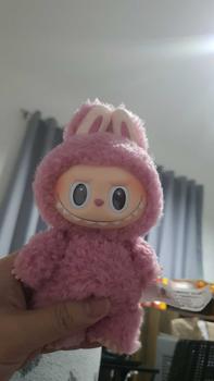 Product Review of POPMART LABUBU THE MONSTERS Heart-beating Macarons Vinyl Face Blind Box from A** I**o 0