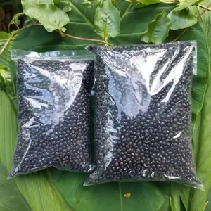 Kacang Gude Kering Bersih Premium