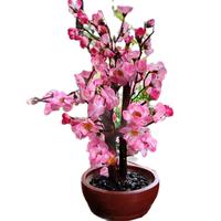 Gambar pohon sakura pohon Imlek bunga imlek gong xi bunga meihua tahun baru cina pohon meihua angpao - 30cm, pohon sakura 40cm dari Gaby Bella Florist Kota Administrasi Jakarta Selatan 4 Tokopedia