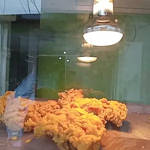 Spot Hinomaru R63 40W 60W Lampu Pemanas Makanan Fried Chicken Penghangat Reptil dll, nyala kuning