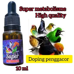 Super metabolisme penggacor burung bahan dan macetan jadi gacor, penggacor  burung drop mental atau habis mabung