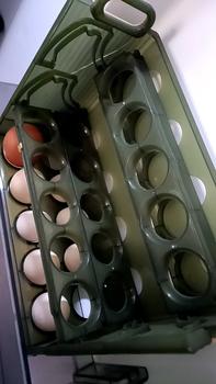 Product Review of 30 Eggs Tray Three Layers Egg Storage Box Refrigerator Food Organizer Containers Kitchen Fresh-Keeping Storage Kitchenware Utensils Dispenser Sealer from Q**Q 0