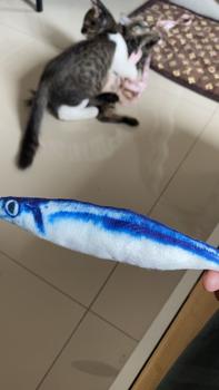 Product Review of Catnip Toy Fish Cat Fish Toy Pet Toy For Kitten Bite Chew from 🧕**🧕 1