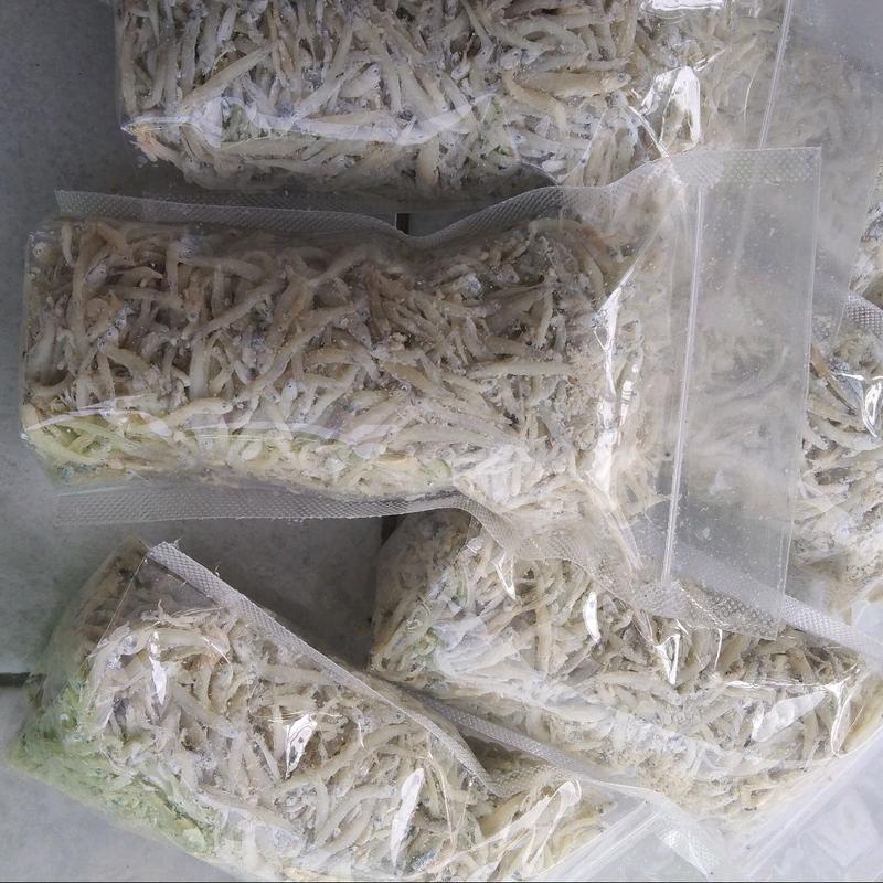 Grosir teri nasi asin / Teri Medan kering / Teri putih Best Seller 3