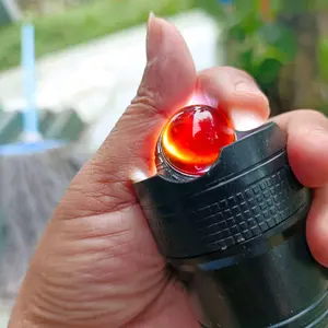 KATILAYU NATURAL ALAM ALAMI 200 RIBU