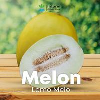Gambar INFARM - Benih Melon Lemomelo Unggul, Bibit Buah Melon Golden Super Bibit Buah Melon Berkualitas dari Infarm Kota Surabaya 4 Tokopedia