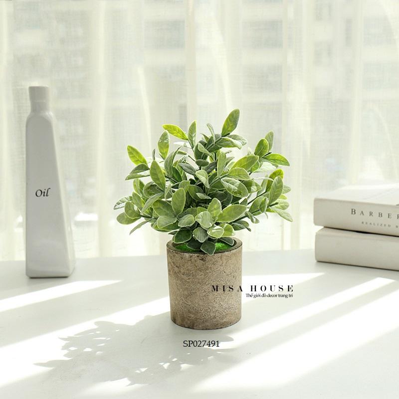 Chậu cây xanh giả để bàn mini nhỏ xám để bàn trang trí tủ kệ nhà văn phòng cửa hàng - đồ decor trang trí phòng khách phòng ngủ bàn học bàn làm việc đẹp độc đáo Misa House decor 7
