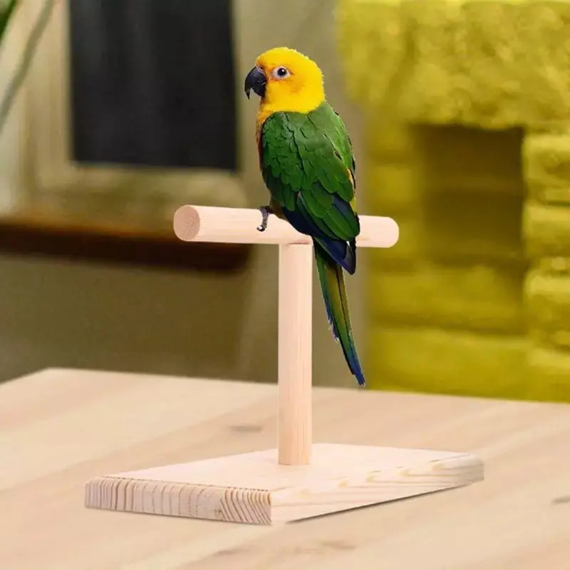 Stand Tangkringan Tenggeran Training Kayu untuk Burung Parrot