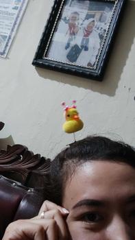 Product Review of COD (YBL) Jepit Rambut Bentuk Bebek Anak Lucu Jepit Rambut Hair Clip Aksesoris Rambut Motif Karakter Lucu (BELI LOKAL) from D**a 0