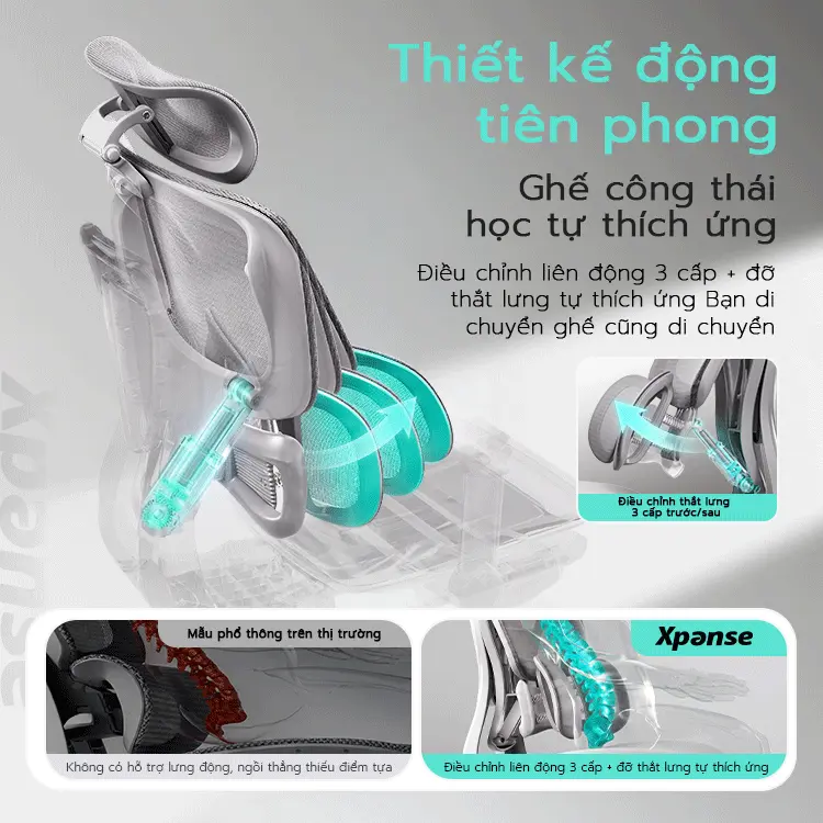 Ghế công thái học Xpanse T10 Đuổi theo độ cong lưng động bằng lò xo độc lập, Đẩy trước nâng đỡ chính xác vùng thắt lưng | ghế làm việc | ghế gaming | BigBuy360 - bigbuy360.vn Ghế công thái học Xpanse T10 Đuổi theo độ cong lưng động bằng lò xo độc lập, Đẩy trước nâng đỡ chính xác vùng thắt lưng | ghế làm việc | ghế gaming | BigBuy360 - bigbuy360.vn