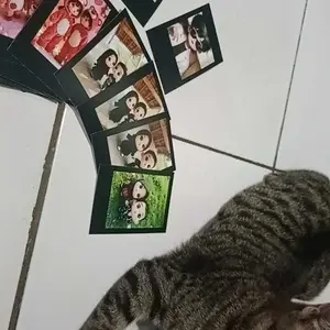 Bisa Cod 25-200 FOTO 2R. Kualitas Jernih.