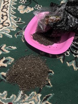 Product Review of Tiwul Instan Hitam Makanan Tradisional Dari Singkong Organik Alami Jajanan Food Rice nasi from Q** 2
