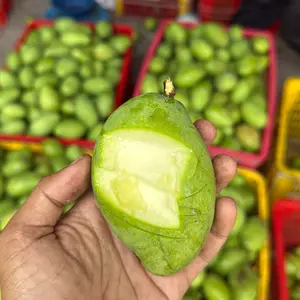 Mangga jawa muda asem kriuk