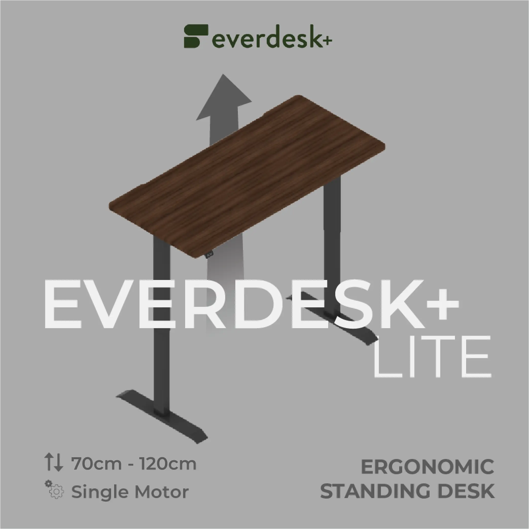 EverDesk+ Lite - Ergonomic Standing Height Adjustable Desk