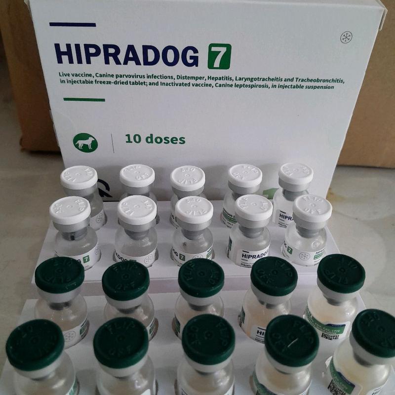 Hipradog 7 - 1 liều tiêm cho chó trên 2 tháng tuổi - Tặng bơm tiêm và sổ ghi chú - Chăm sóc sức khỏe thú cưng