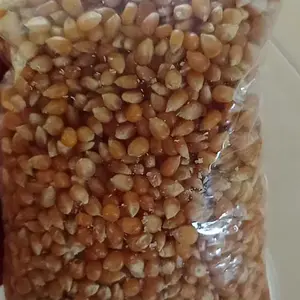 Jagung Popcorn Mentah 1 Kg Asli Argentina - Makanan Ringan - Food organik popcorn warna warni