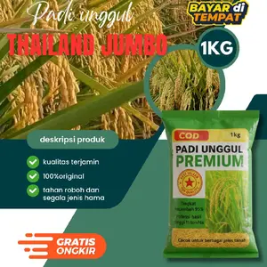 benih padi Thailand jumbo 1kg original