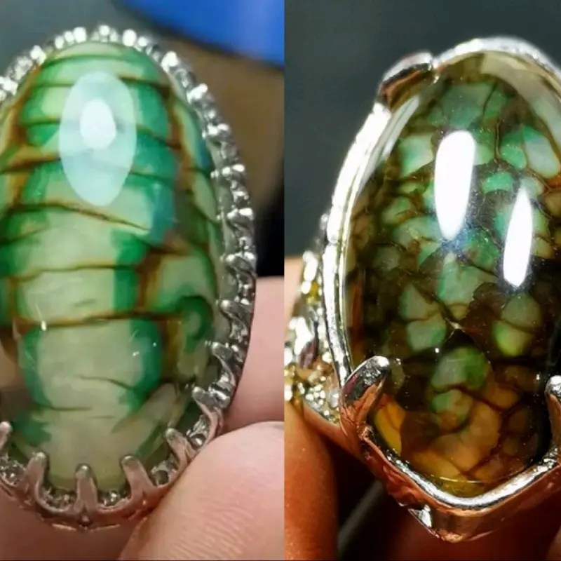 Cincin pria model Sisik naga top terpoluler Full Serat ring variasi kuku dan cakar  Rings anti 0