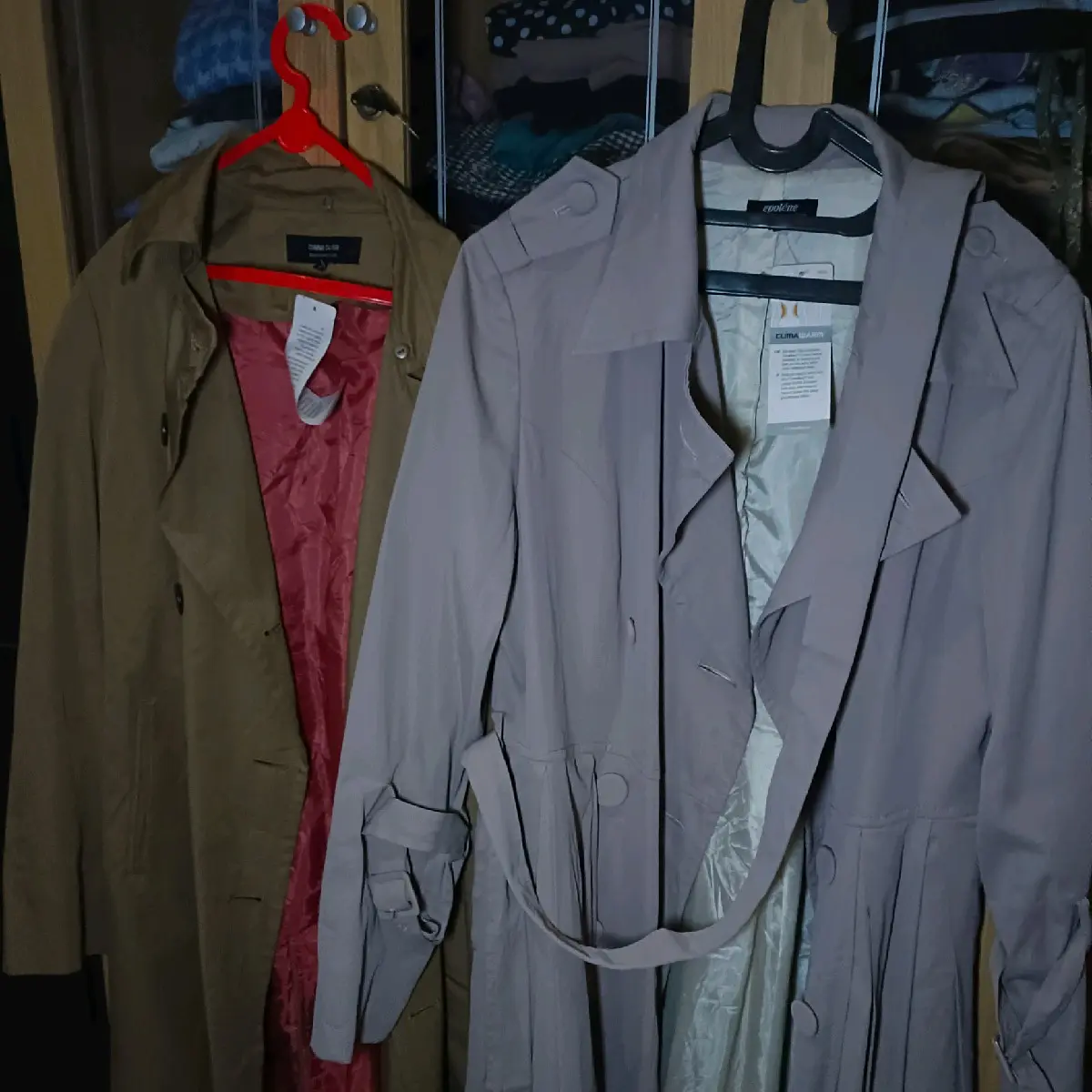 Blazer korean take all 100