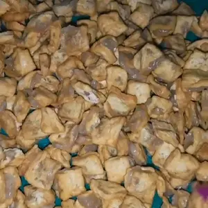 Pentol Tahu Segar untuk Makanan Sehari-hari Anda isi 50 biji FREE SAOS Segar Lezat & Versatile Pilihan Tepat