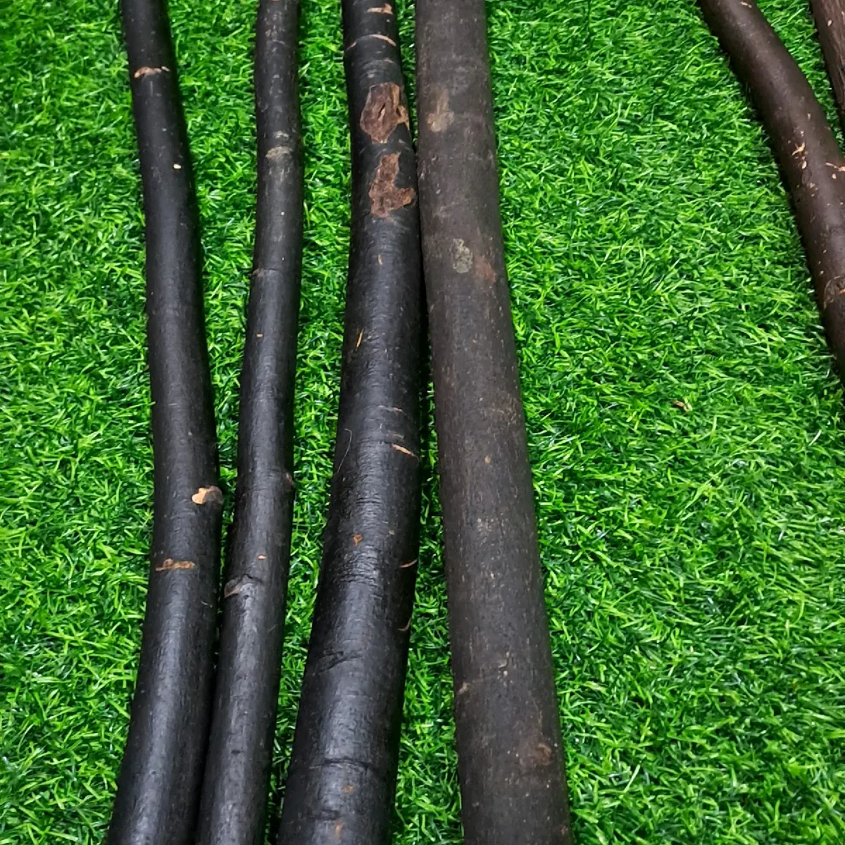 Kayu Tas Jantan hasil hutan