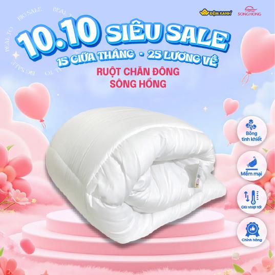 Ruột Chăn Đông Sông Hồng phân phối chính hãng tại Đệm Xanh