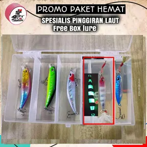 micro jig 10 gram + minnow sinking Lure Pancing