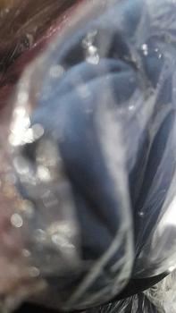 Product Review of KENAN - SHINY Instan Daily Hijab nonpet matt Jersey size L from M**a h**e 0