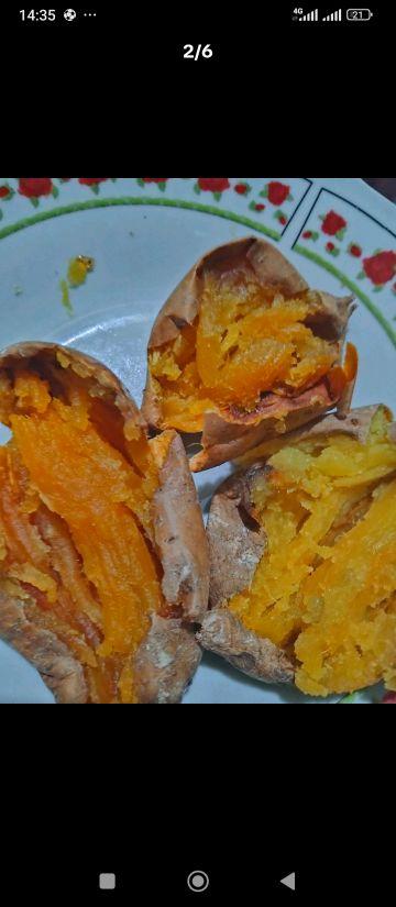 Ubi Cilembu Ares Isi 15-20 Biji Rasa Manis Khas Unik dan Istimewa Cocok untuk Pencinta Ubi Manis