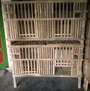 bok ayam kurungan ayam dan kandang kucing