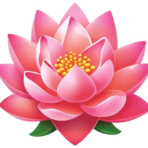 DẦU VIÊM XOANG ĐÔNG Y PHÚ TÂN