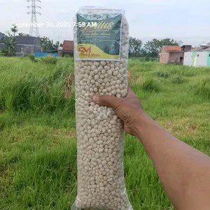 PILUS KLETUK KHAS TEGAL 1 BALL BERAT 1 KG