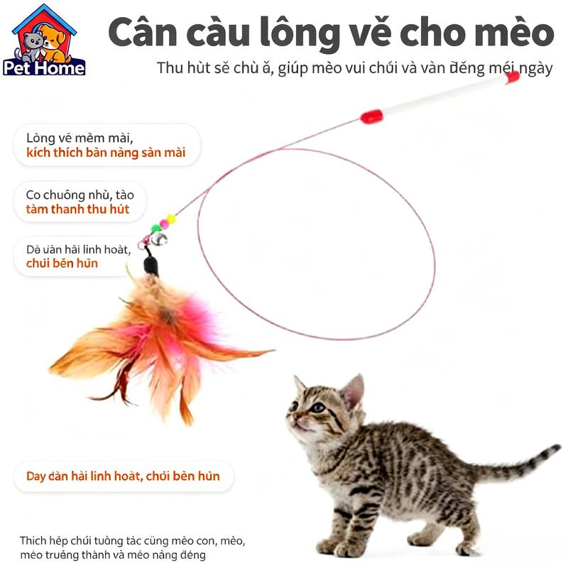 Gậy Cho Mèo, Gậy Đồ Chơi Cho Mèo, Có Lông Vũ Và Dây Thép, Có Chuông Nhỏ Đồ Chơi…