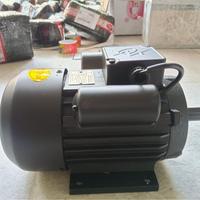 Gambar MAXPUMP Dinamo Elektrik Motor 1 Phase 0,75 Hp 2800 RPM 220V 2 Pole Tembaga Suara Halus Body Kokoh Penggerak Mesin 3000 RPM Standar Nasional Indonesia Electric Motor Dynamo Elektro Motor dari Poseidonpump Kota Administrasi Jakarta Utara 4 Tokopedia