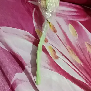 Shower Puff Tongkat Sikat Pembersih Punggung Spons Busa Mandi 2 in 1