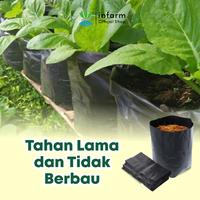 Gambar INFARM - Paket 40pcs Polybag 35x35, Polybag Planter Berkualitas Super Kuat Awet Tidak Mudah Robek dari Infarm Kota Surabaya 2 Tokopedia