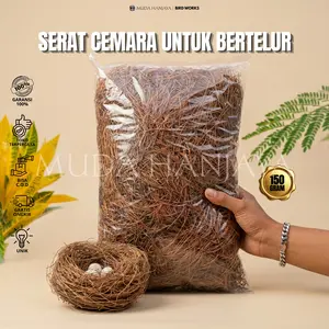 Serat Cemara 150g Alas Kandang Sarang Burung Penetasan Lolohan Anakan Burung Kenari Lovebird Murai Merpati | Muda Hanjaya
