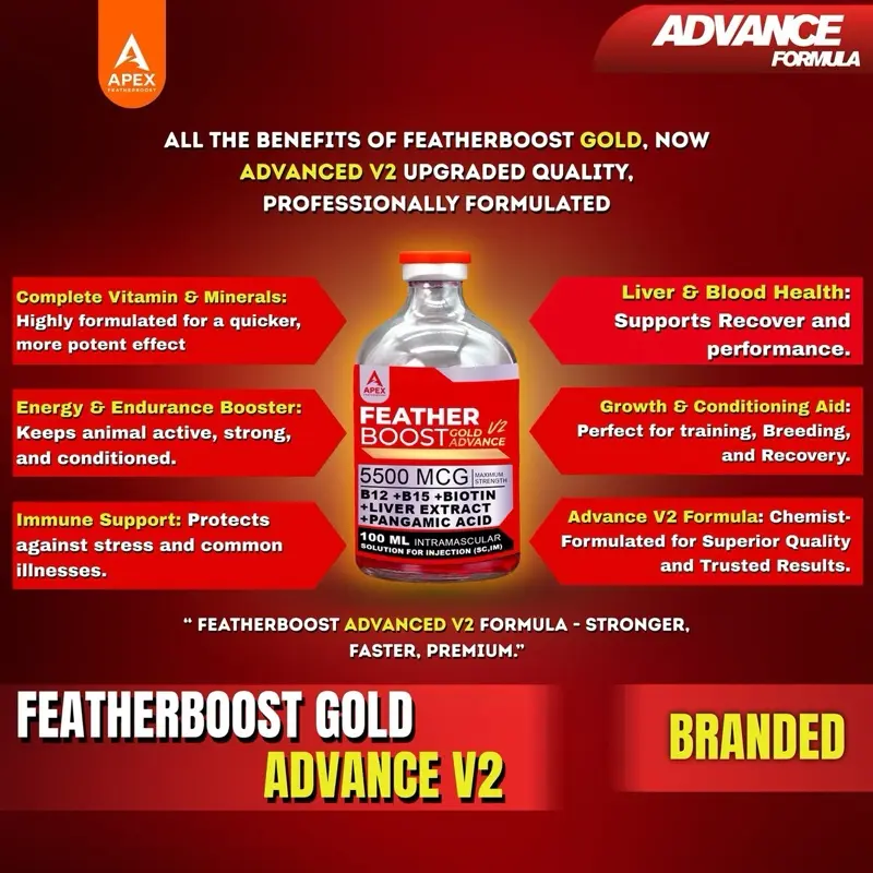Featherboost Gold Advance B12+B15 5500mcg & FEATHERBOOST B12 with B15  Advance Capsule Combo (For animals use only!) - TikTok Shop Philippines
