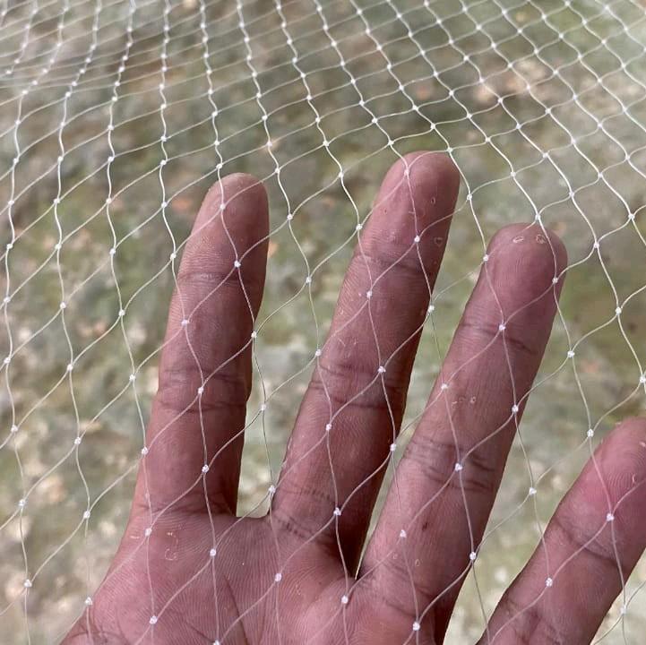 Jaring Anco Penangkap Ikan Tradisional Lubang 1 1/4 Inchi Senar 0,28 - Ukuran 2x2 Meter 4